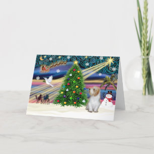 Cartão De Festividades Christmas Magic Petit Basset 3