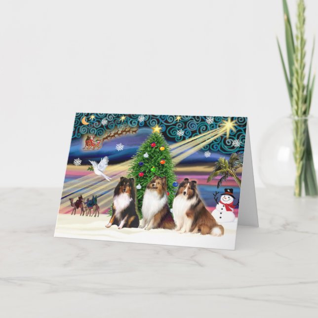 Cartão De Festividades Christmas Magic Shetland Sheepdogs (three) (Frente)