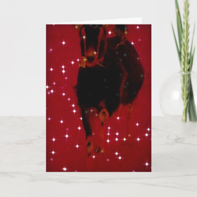 Cartão De Festividades Christmas Misha (Frente)