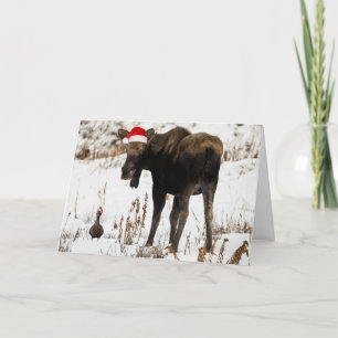 Cartão De Festividades Christmas moose with duck holiday card.