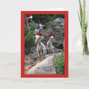 Cartão De Festividades Christmas Mountain Goats