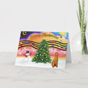Cartão De Festividades Christmas Music 2 - Poodle (apricot Standard)