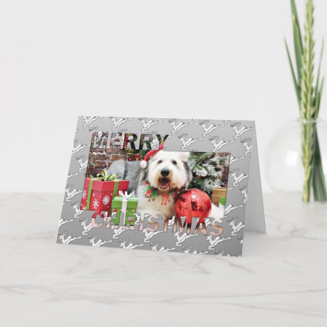 Cartão De Festividades Christmas - Old English Sheepdog - Alphy (Frente)