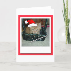Cartão De Festividades Christmas Orange Tabby Kitten