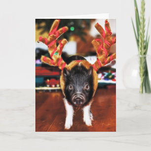 Cartão De Festividades Christmas Pig Greeting Card