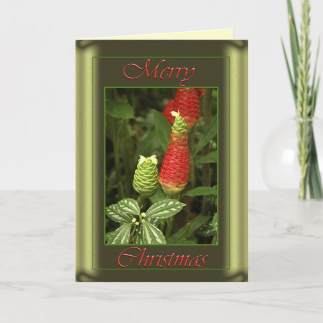 Cartão De Festividades Christmas Pine Cone Card (Frente)