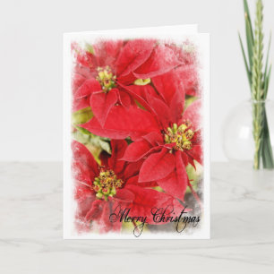 Cartão De Festividades Christmas Poinsettia