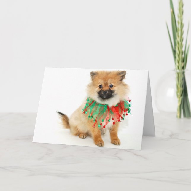 Cartão De Festividades Christmas pom puppy (Frente)