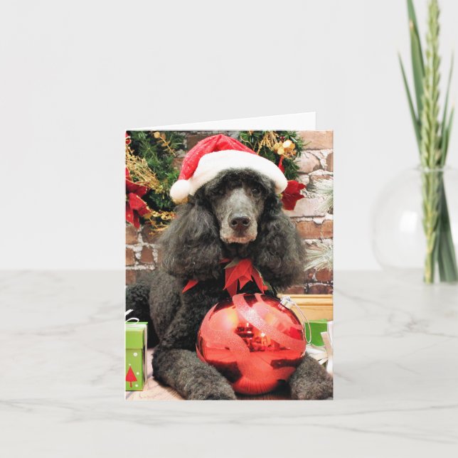 Cartão De Festividades Christmas - Poodle - Lily (Frente)