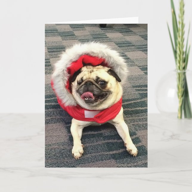 Cartão De Festividades Christmas Pug (Frente)