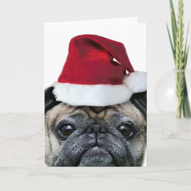 Cartão De Festividades Christmas pug greeting card (Frente)