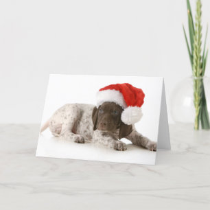 Cartão De Festividades Christmas Puppy - German Shorthaired Pointer