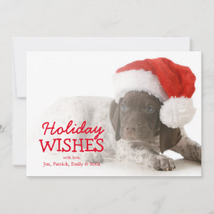 Cartão De Festividades Christmas Puppy - German Shorthaired Pointer