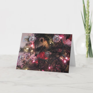 Cartão De Festividades Christmas Raccoon