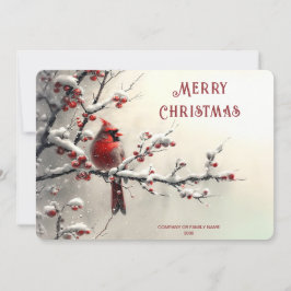 Cartão De Festividades Christmas Red Cardinal Holiday Card