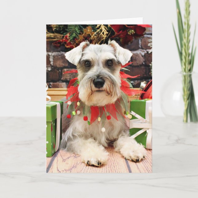 Cartão De Festividades Christmas - Schnauzer - Abby (Frente)