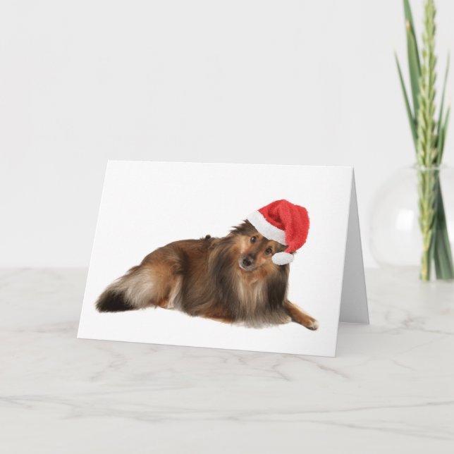Cartão De Festividades Christmas Sheltie dog (Frente)