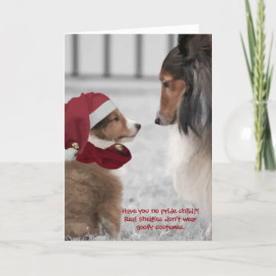 Cartão De Festividades Christmas Shelties