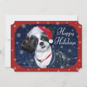 Cartão De Festividades Christmas Shih Tzu Dog