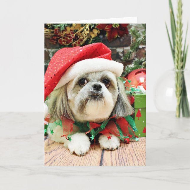 Cartão De Festividades Christmas - Shih Tzu - Gizmo (Frente)
