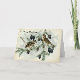Cartão De Festividades Christmas Sparrows on Pine Tree Branches Holiday