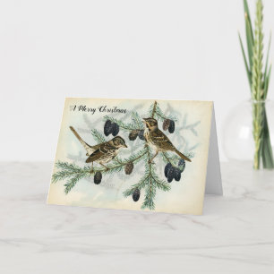 Cartão De Festividades Christmas Sparrows on Pine Tree Branches Holiday