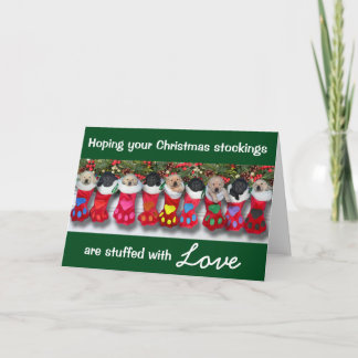 Cartão De Festividades Christmas Stockings Gratitude Litter