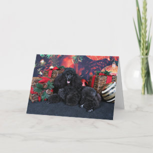 Cartão De Festividades Christmas - Toby - Poodle
