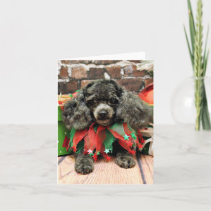 Cartão De Festividades Christmas - Toy Poodle - Annie