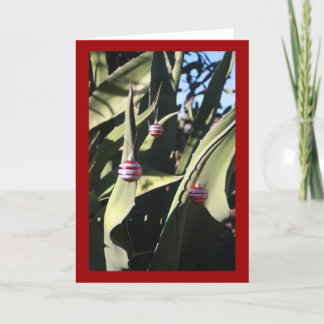 Cartão De Festividades Christmas tree cactus