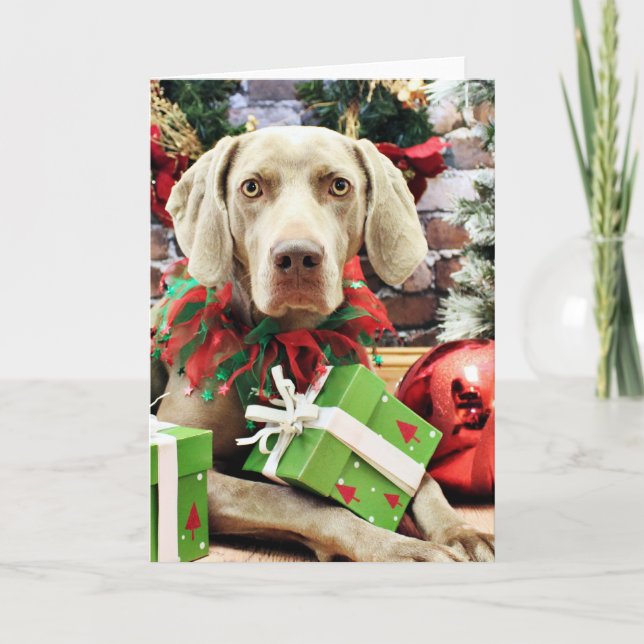 Cartão De Festividades Christmas - Weimaraner - Lucy (Frente)