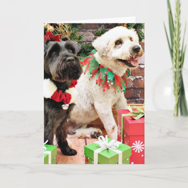 Cartão De Festividades Christmas - Wheaten Skipper - Schnauzer X  Bentley (Frente)