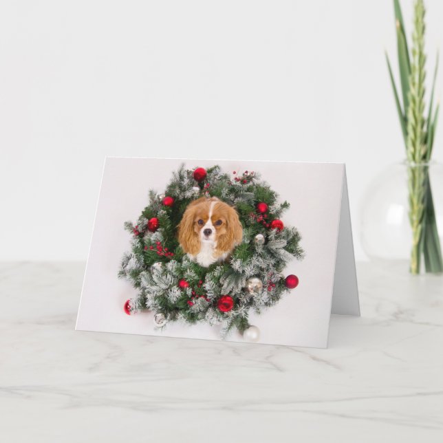 Cartão De Festividades Christmas Wreath Cavalier King Charles Card (Frente)