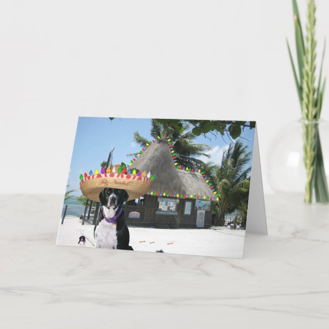 Cartão De Festividades Chrysie's Mexican Christmas (Frente)