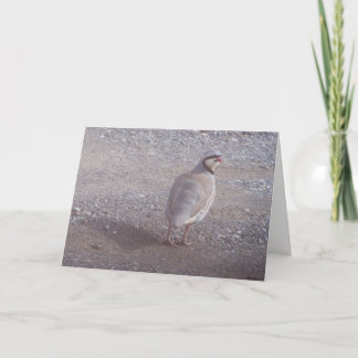 Cartão De Festividades Chukar Christmas Card