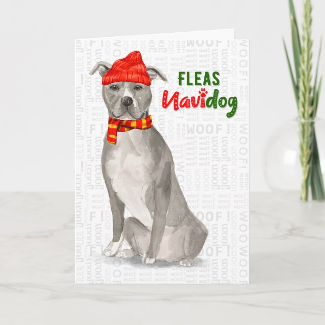 Cartão De Festividades Cinza Americano Staffordshire Pitbull Dog Funny (Frente)