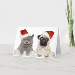 Cartão De Festividades Cinza de Natal e Pug Chinês