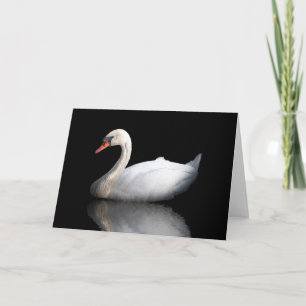 Cartão De Festividades Cisne branco sobre preto