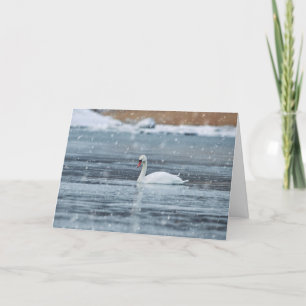 Cartão De Festividades Cisne nadando nas condições de inverno nevando