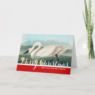 Cartão De Festividades cisnes brancas de pássaro de audubon do cisne