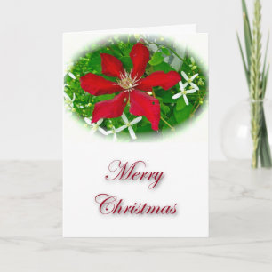 Cartão De Festividades Clematite Vermelha Feliz Natal