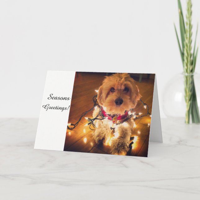Cartão De Festividades Cockapoo Puppy Christmas Card (Frente)