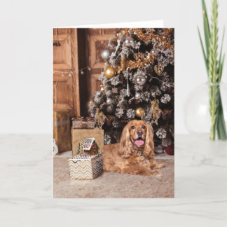 Cartão De Festividades Cocker Spaniel Natal