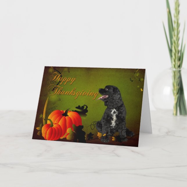 Cartão De Festividades Cocker Spaniel Thanksgiving Card (Frente)