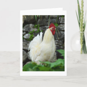 Cartão De Festividades Cockerel na Madeira