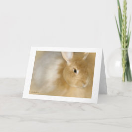 Cartão De Festividades Coelho Coelho (Caramel)