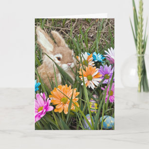 Cartão De Festividades Coelho da Páscoa com Margaridas