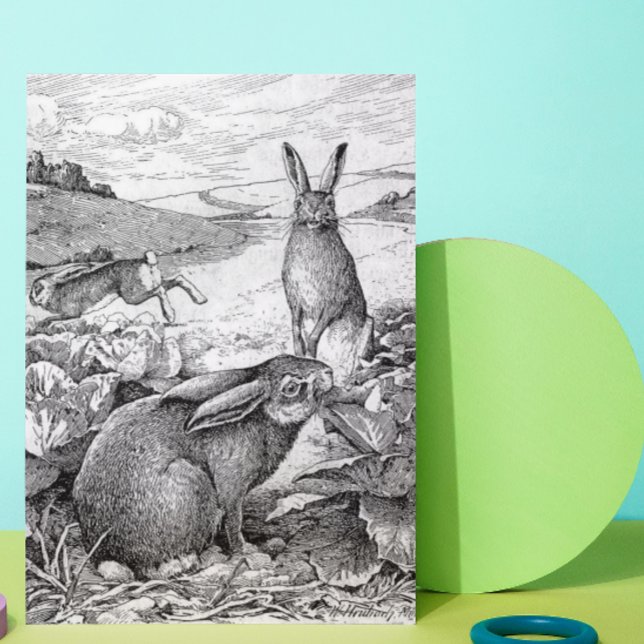 Cartão De Festividades Coelhos (Criador carregado)