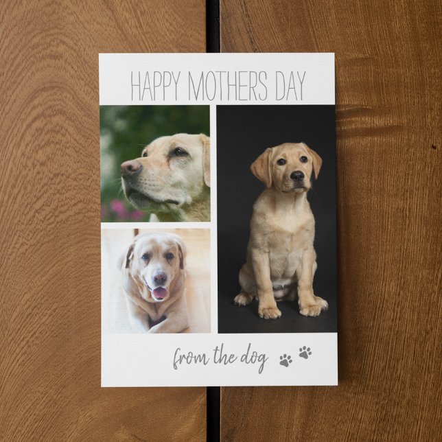 Cartão De Festividades Colagem de Fotos Moderna 3 | Do Cão (Criador carregado)