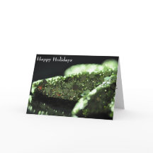 Colega de Férias Feliz Colega de Empregados